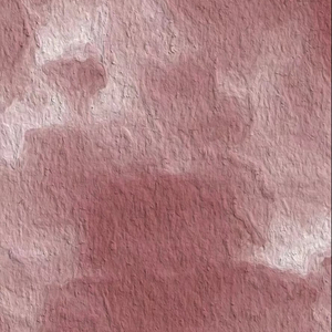 男女黄色裸体干逼逼
